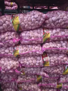 bawang putih kating honan 1