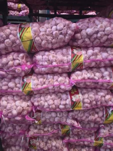 bawang putih kating honan 1