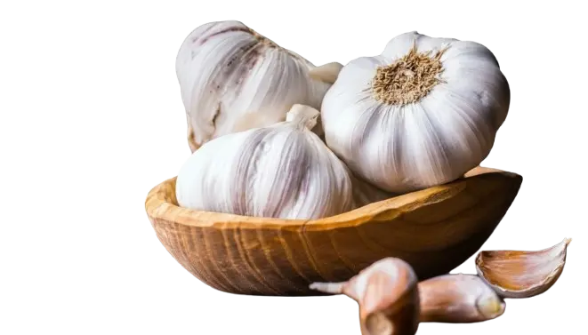 distributor-bawang-putih-epam