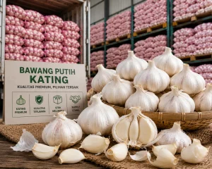 bawang-putih-kating